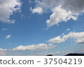 Sky  37504219