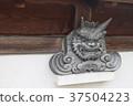 Tile 37504223