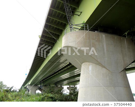 Kokoro Ohashi seen from below Kokoro Ohashi seen from below 37504440