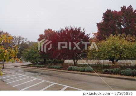 Landscape around the Arlington National Cemetery, USA 37505855