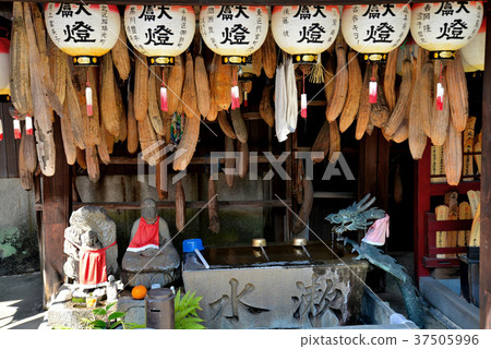 名古屋平間藥師東上寺 名古屋平間藥師東上寺 37505996