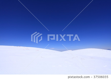 多雪的領域和藍天 多雪的領域和藍天 37506035