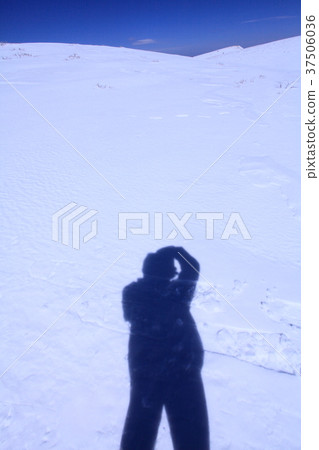 陰影和雪原 37506036