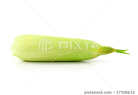 corn on the white background corn on the white background 37506618