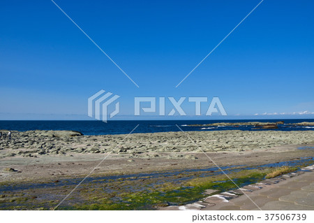 Aomori Senjojiki Beach Aomori Senjojiki Beach 37506739