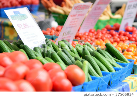 蔬菜蔬菜 蔬菜蔬菜 37506934