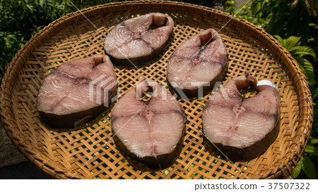 Dried Scomberomorus fish in threshing basket Dried Scomberomorus fish in threshing basket 37507322