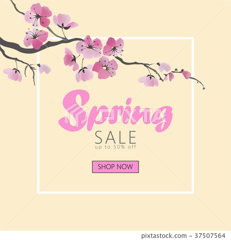 Vector watercolor sakura blossom spring sale 37507564