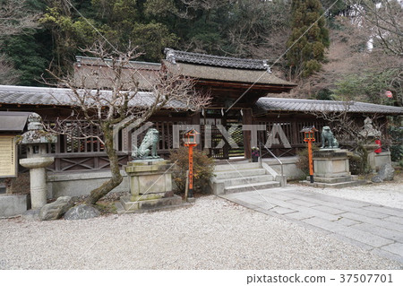 Chieftain Shrine 37507701