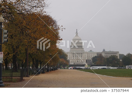 從華盛頓國家廣場看的議會大廈 從華盛頓國家廣場看的議會大廈 37507944