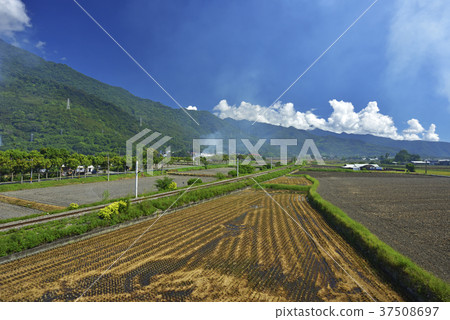 Railway, transportation, transportation, train, rural, rural, rice field, mountain, sunny, taiwan, hualian 37508697