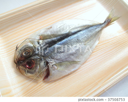 Raw horse mackerel in the pack 37508753