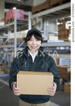 Delivery Mate Delivery Mate 37508982