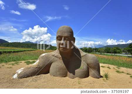 花田,農村,原野,山,臺灣,花蓮,花東縱谷,鄉村景色,公共藝術,花,新鮮 花田,農村,原野,山,臺灣,花蓮,花東縱谷,鄉村景色,公共藝術,花,新鮮 37509197