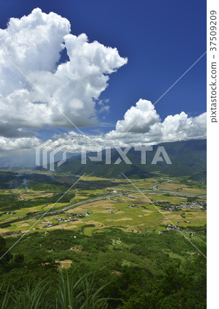 稻田,農村,原野,山,臺灣,花蓮,花東縱谷,鄉村景色,農田,六十石山 37509209