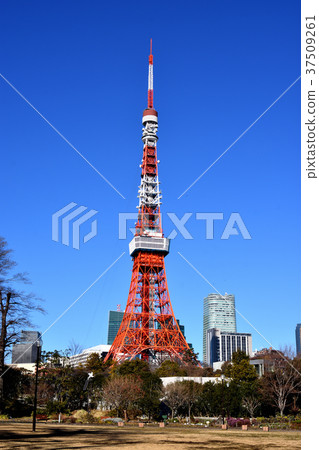 東京鐵塔 37509261