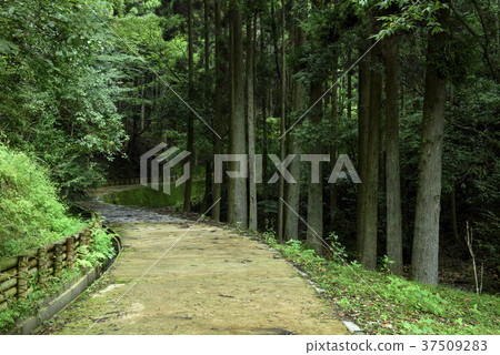 Kagamata遠足徑(Hyoto Himeji City Antomi-cho) Kagamata遠足徑(Hyoto Himeji City Antomi-cho) 37509283