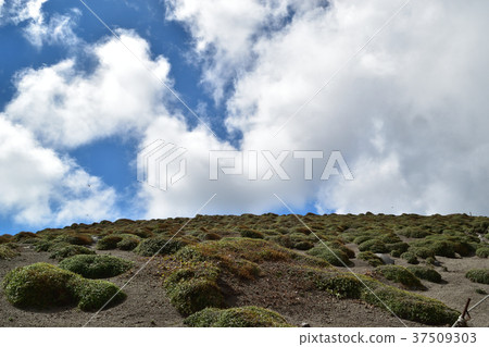 Kirishimayama 37509303