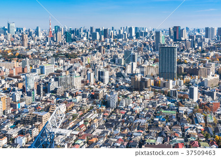 Urban image Tokyo, where buildings and houses are densely populated Urban image Tokyo, where buildings and houses are densely populated 37509463