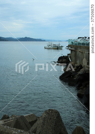 Tomoe: Early morning scenery of Koshigahama Tomoe: Early morning scenery of Koshigahama 37509870