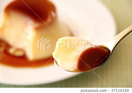 布丁 布丁 37510189