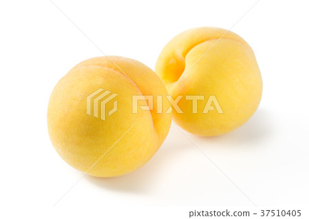 Golden peach 37510405