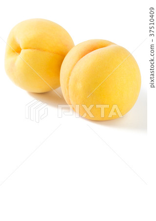 金桃 金桃 37510409