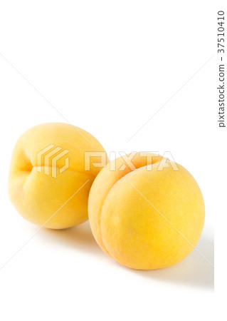金桃 金桃 37510410