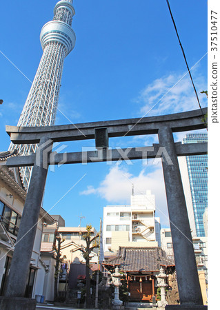 Oshiage Tenso神社和東京天空樹的Torii 37510477
