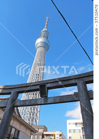 Oshiage Tenso神社和東京天空樹的Torii 37510478