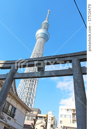 Oshiage Tenso神社和東京天空樹的Torii Oshiage Tenso神社和東京天空樹的Torii 37510479