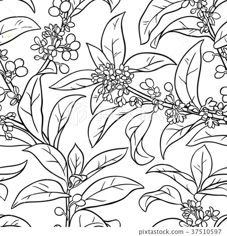 osmanthus seamless pattern 37510597