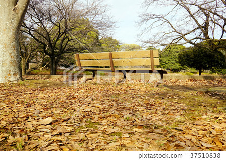 公園長椅 公園長椅 37510838