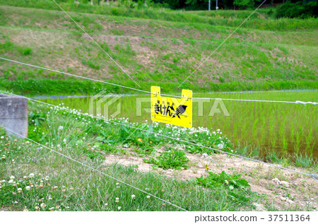Electric fence 37511364