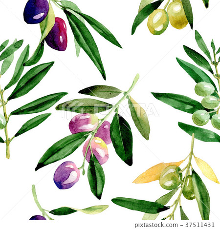 Olive tree pattern in a watercolor style. Olive tree pattern in a watercolor style. 37511431