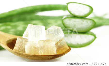 Aloe Vera gel cut in cube on white background. 37511474