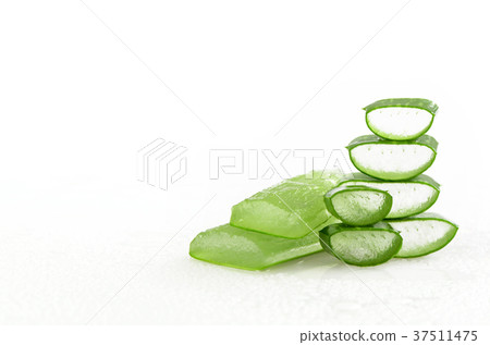 Slice Aloe Vera on white background. Slice Aloe Vera on white background. 37511475