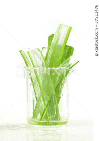 Peel Aloe Vera leaves shows transparency gel. 37511476