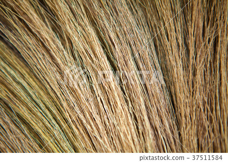 Broom made from grass to tie together. Broom made from grass to tie together. 37511584