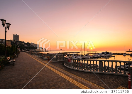 熱海的黎明(八月) 熱海的黎明(八月) 37511766