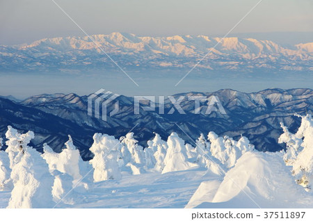 超越冰。 37511897