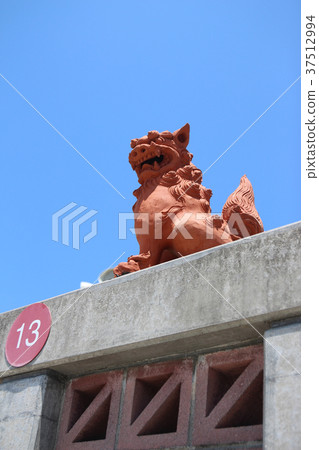 Shisa Shisa 37512994