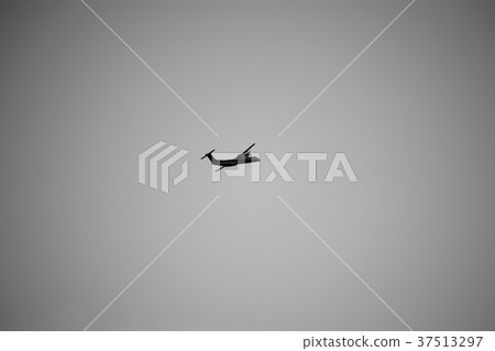 一架飛機 37513297