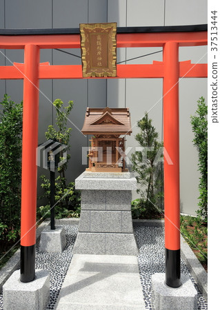 Torii Torii 37513444