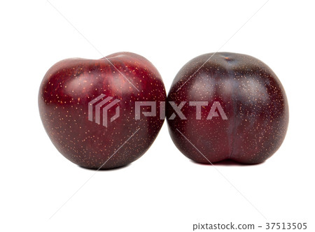 Two big red plums 37513505