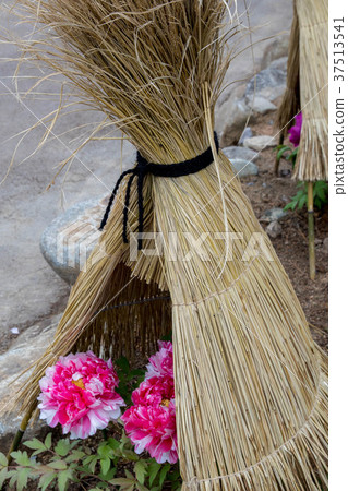 按鍵 按鍵 37513541