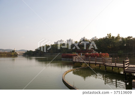 Sungja, Ubi Park, Gaon Lake Park, Paju City, Gyeonggi-do 37513609