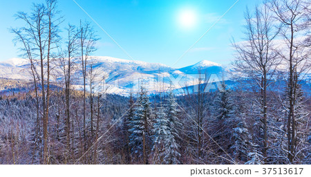 Carpathian Mountains 37513617