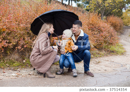 family autumn in the Park in the rain umbrella family autumn in the Park in the rain umbrella 37514354