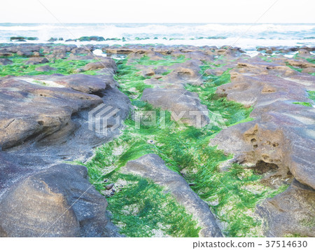 老梅綠石槽 37514630